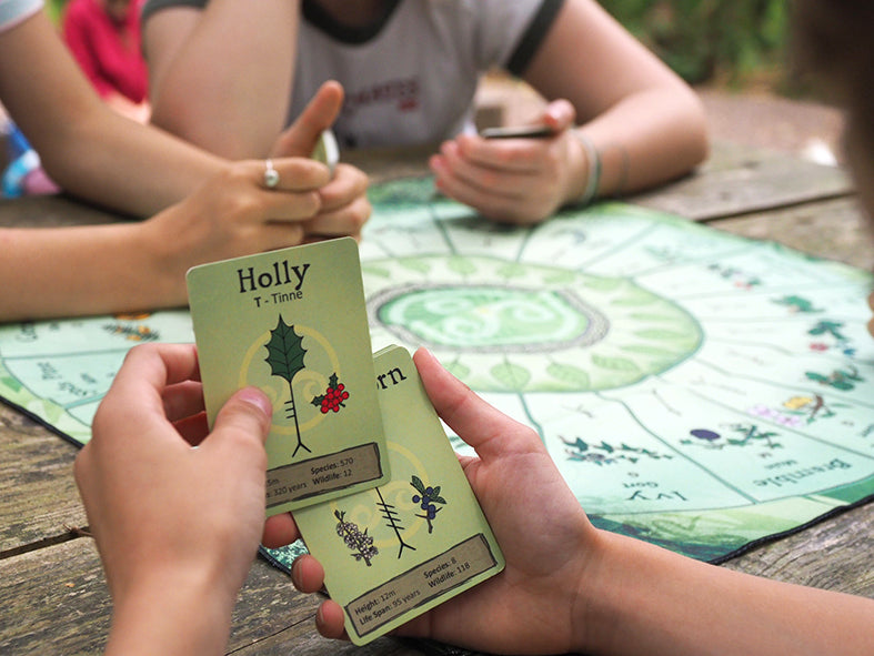 Tree Ogham card deck & game