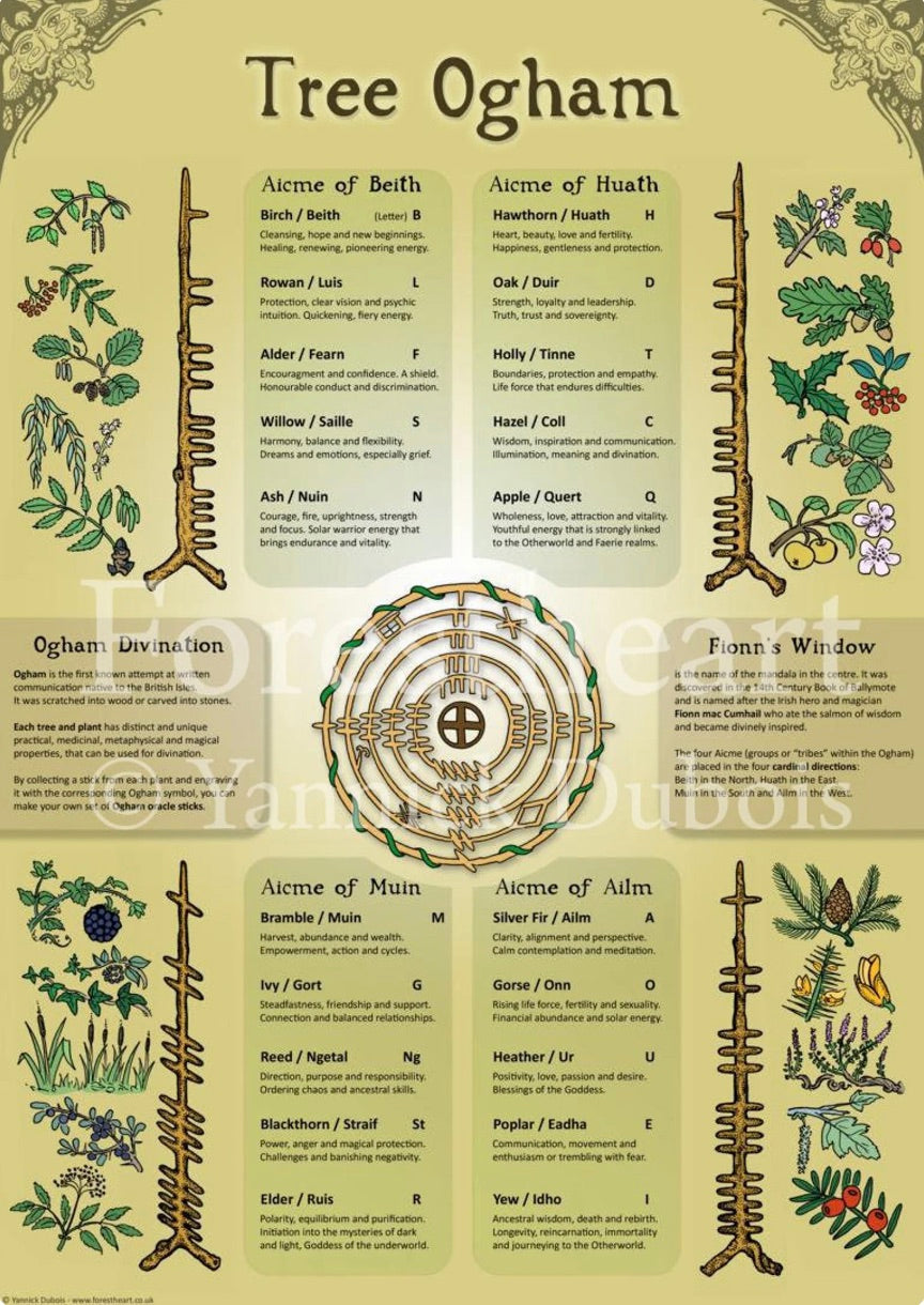 Tree Ogham Poster