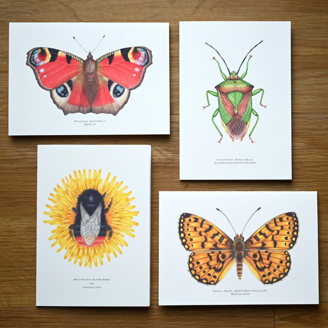 Colourful Bugs A6 Greeting Cards - 4-Pack