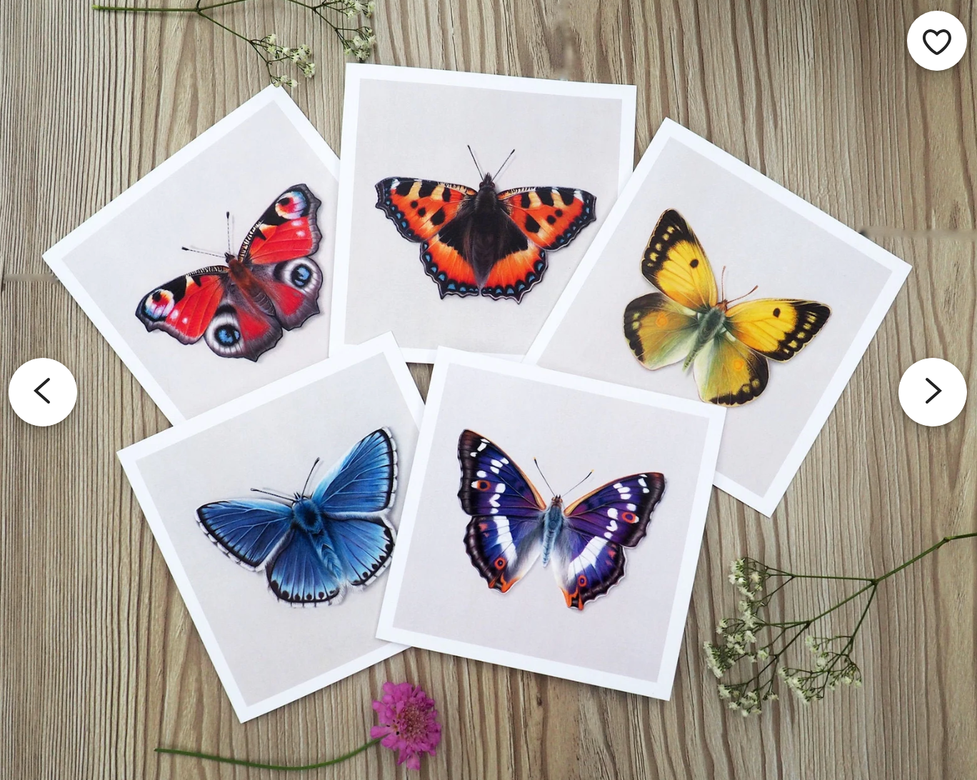 Butterfly Greeting Card Set 5-pack
