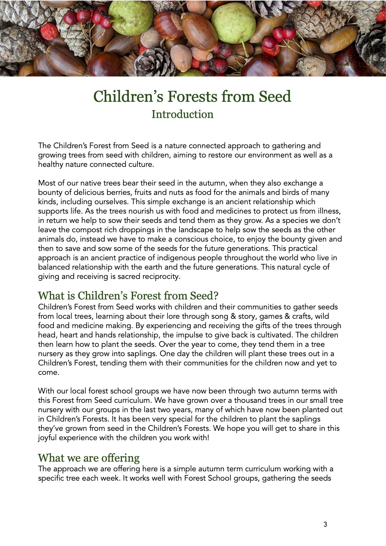 Forest From Seed Resource pack - digital download pdf