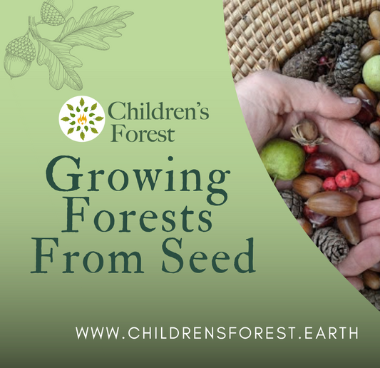 Webinar: Growing Forests from Seed (Introduction)
