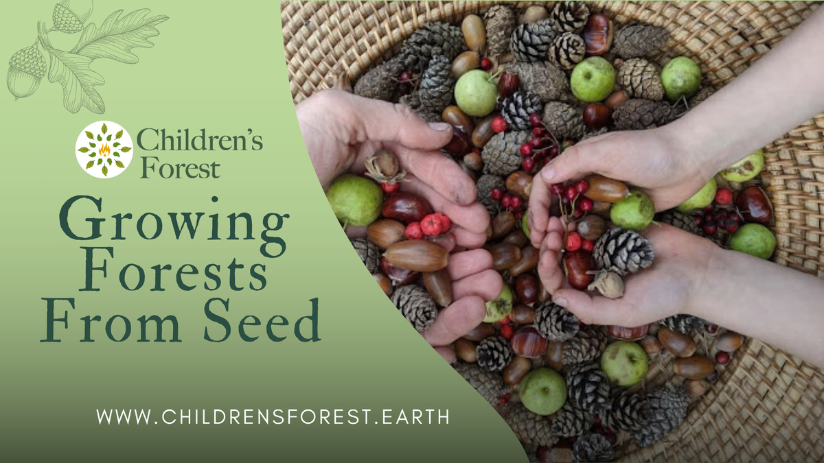 Webinar: Growing Forests from Seed (Introduction)