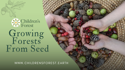 Webinar: Growing Forests from Seed (Introduction)