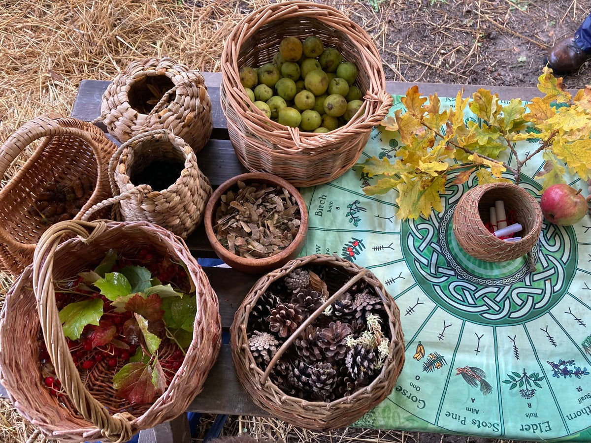 Webinar: Growing Forests from Seed (Introduction)