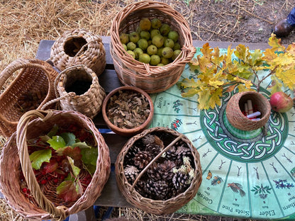 Webinar: Growing Forests from Seed (Introduction)