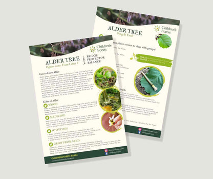 Learn with Trees; Foraging, Crafting, Singing & Planting downloadable Pdf's