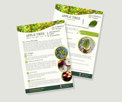 Learn with Trees; Foraging, Crafting, Singing & Planting downloadable Pdf's