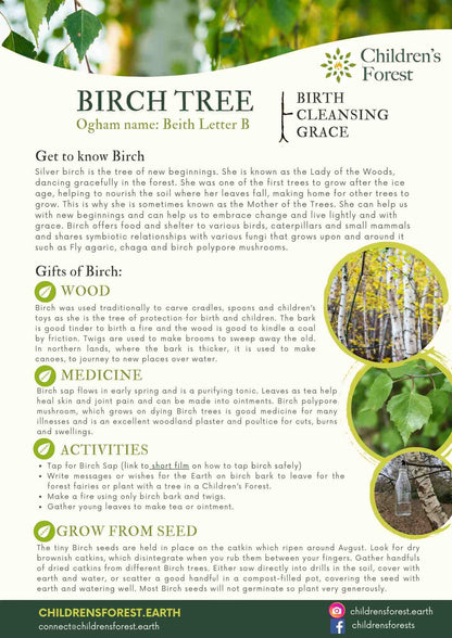 Learn with Trees; Foraging, Crafting, Singing & Planting downloadable Pdf's