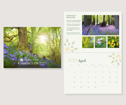 Children's Forest 2025 Wall Calendar; Monthly Planner