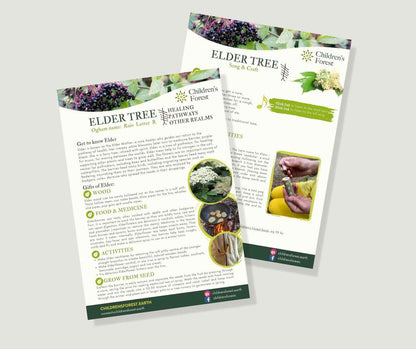 Learn with Trees; Foraging, Crafting, Singing & Planting downloadable Pdf's