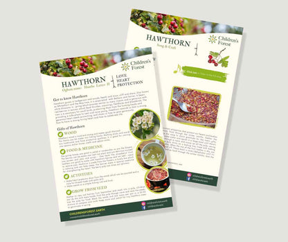 Learn with Trees; Foraging, Crafting, Singing & Planting downloadable Pdf's