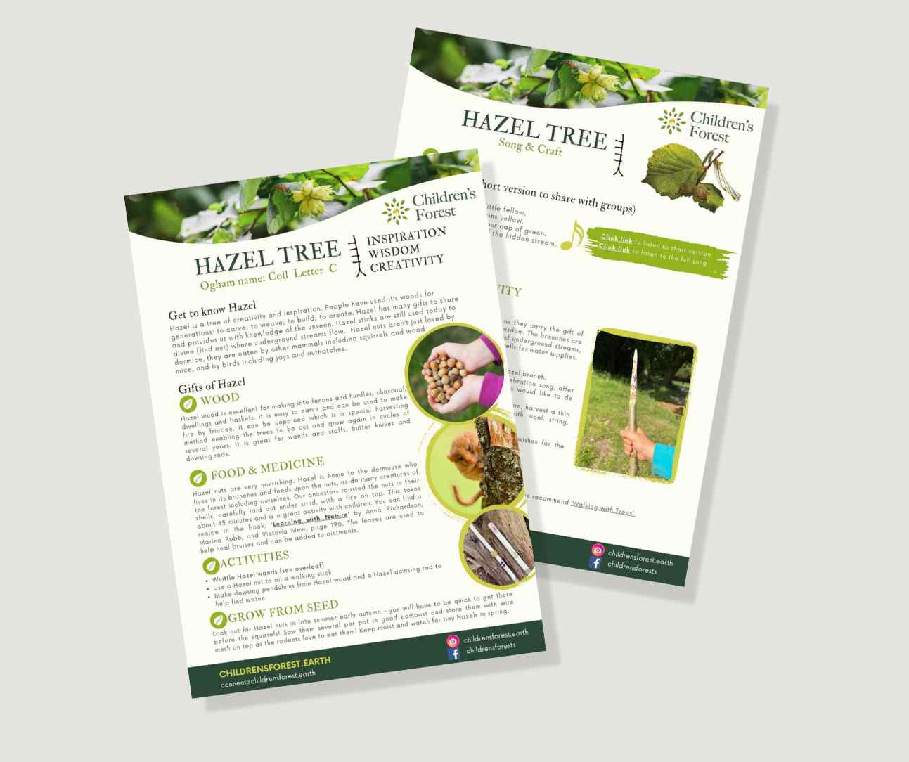 Learn with Trees; Foraging, Crafting, Singing & Planting downloadable Pdf's