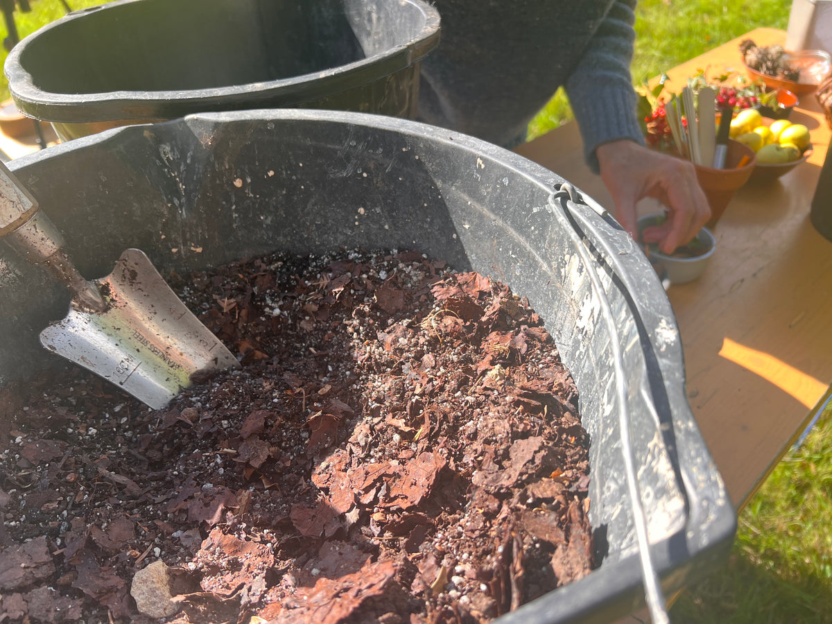 Webinar: Growing Forests from Seed (Introduction)