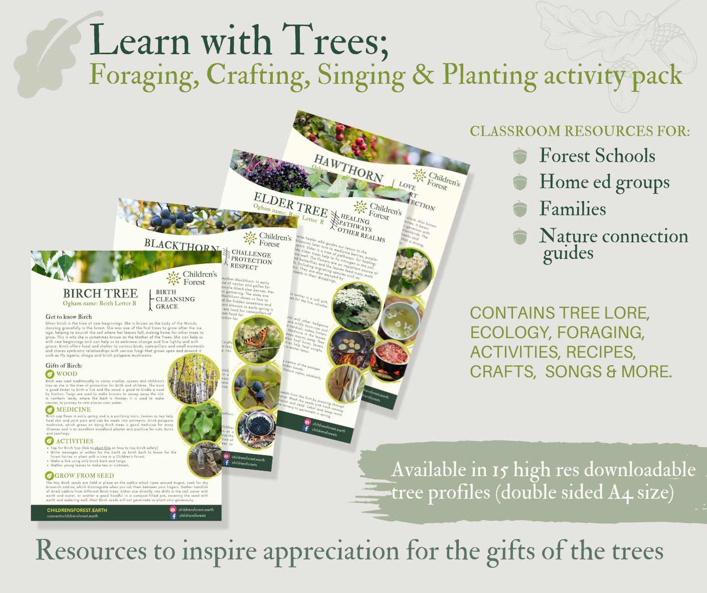 Learn with Trees; Foraging, Crafting, Singing & Planting downloadable Pdf's