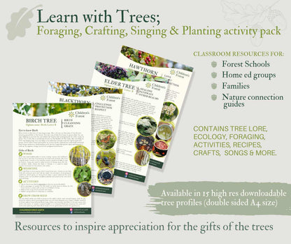 Learn with Trees; Foraging, Crafting, Singing & Planting downloadable Pdf's