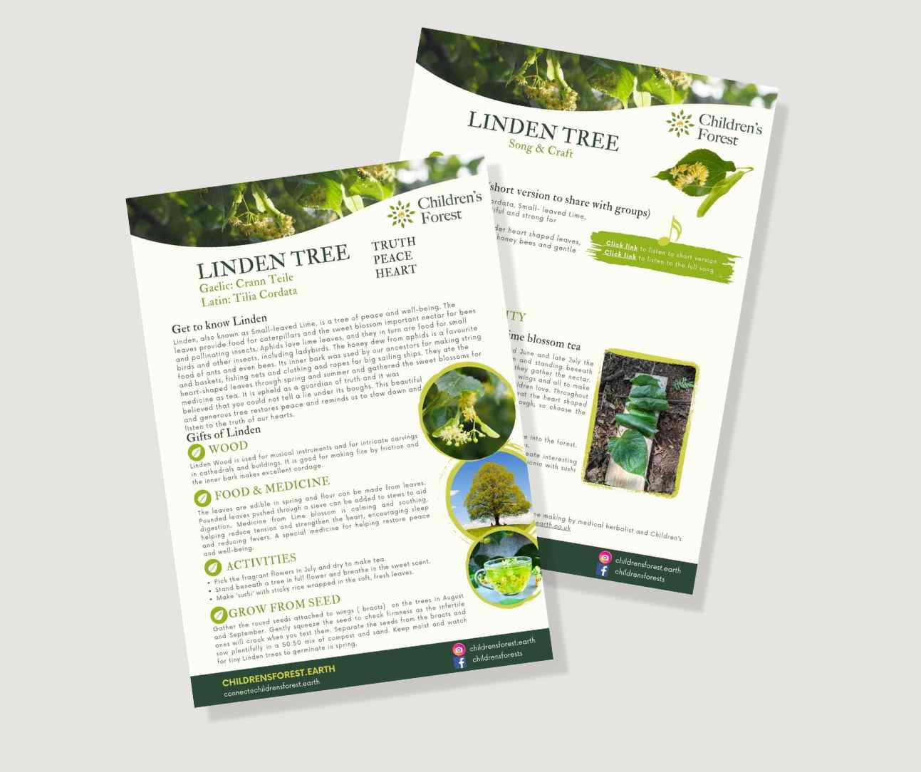 Learn with Trees; Foraging, Crafting, Singing & Planting downloadable Pdf's