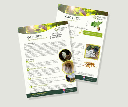 Learn with Trees; Foraging, Crafting, Singing & Planting downloadable Pdf's