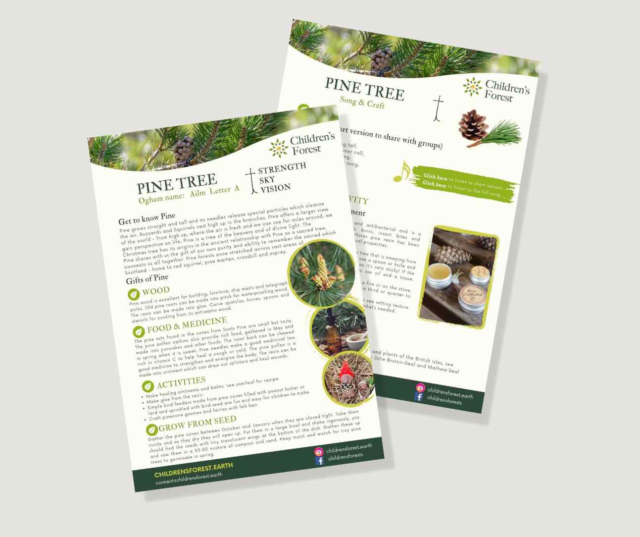 Learn with Trees; Foraging, Crafting, Singing & Planting downloadable Pdf's