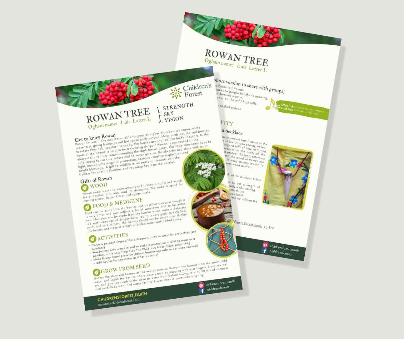 Learn with Trees; Foraging, Crafting, Singing & Planting downloadable Pdf's