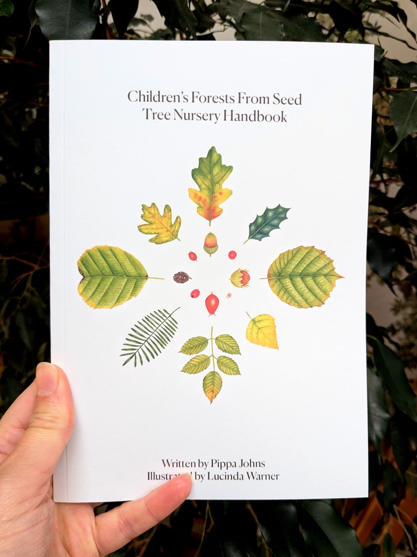 Children's Forest From Seed Tree Nursery Handbook