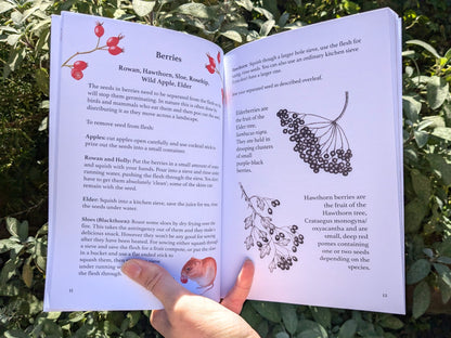 Children's Forest From Seed Tree Nursery Handbook